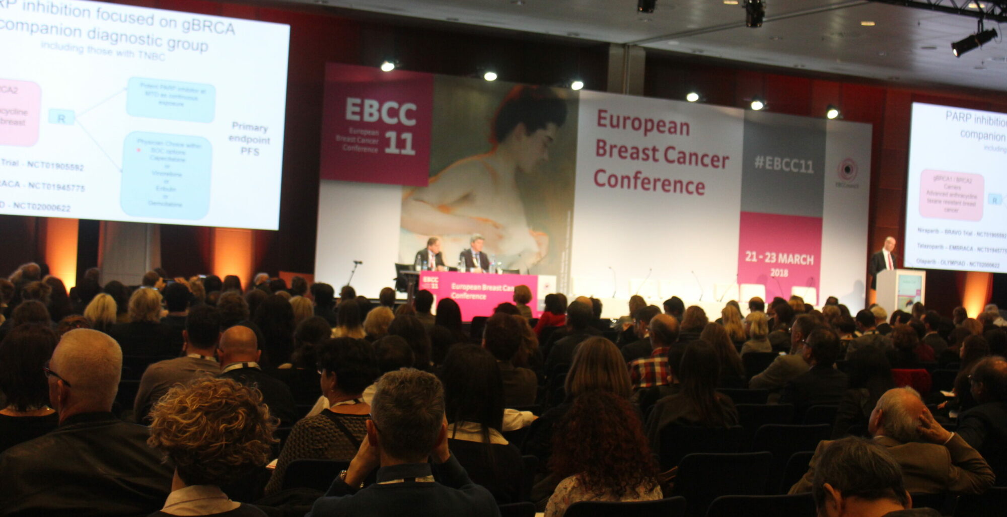 European Breast Cancer Council